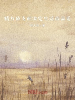 金刚2005年